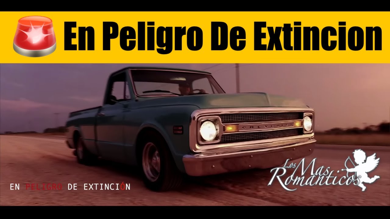 EN PELIGRO DE EXTINCION - LOS MAS ROMANTICOS