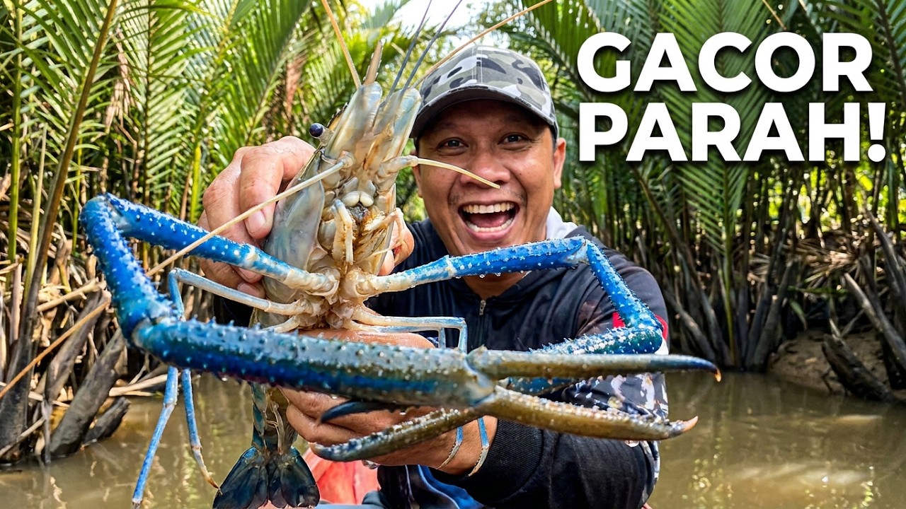 Mancing Handil #fishing #fishingmania #fishingpro #fishingvideos #mancing #mancingmania