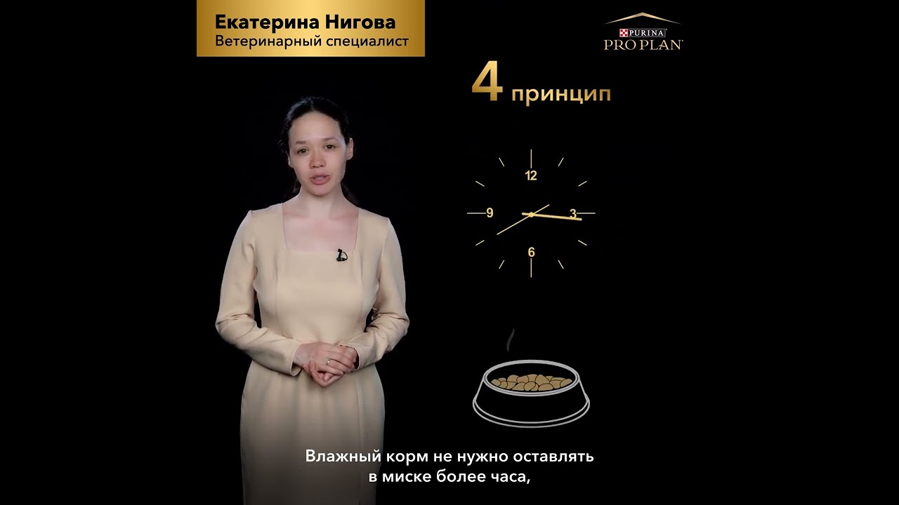 Рекомендации по переводу кошки на корм PRO PLAN&reg; от ветеринарного эксперта Екатерины Ниговой