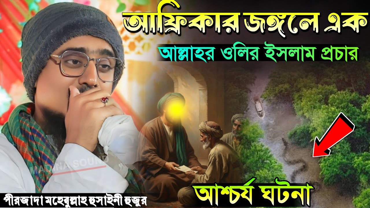 আফ্রিকার জঙ্গল এক আল্লাহর ওলির ঘটনা পীরজাদা মহেবুল্লাহ হুসাইনী ওয়াজ Pirjada Mohibullah Hussaini Waz