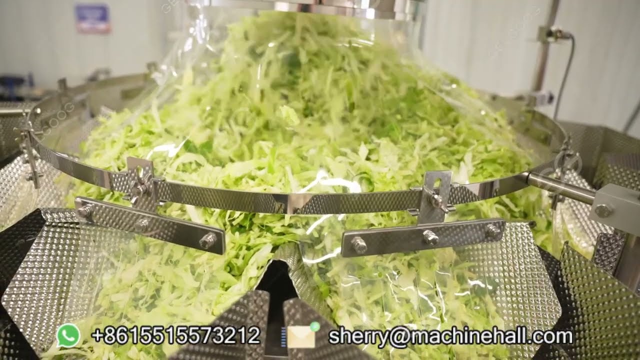 What Is The Process of Vegetable Salad? Salad Processing Factory