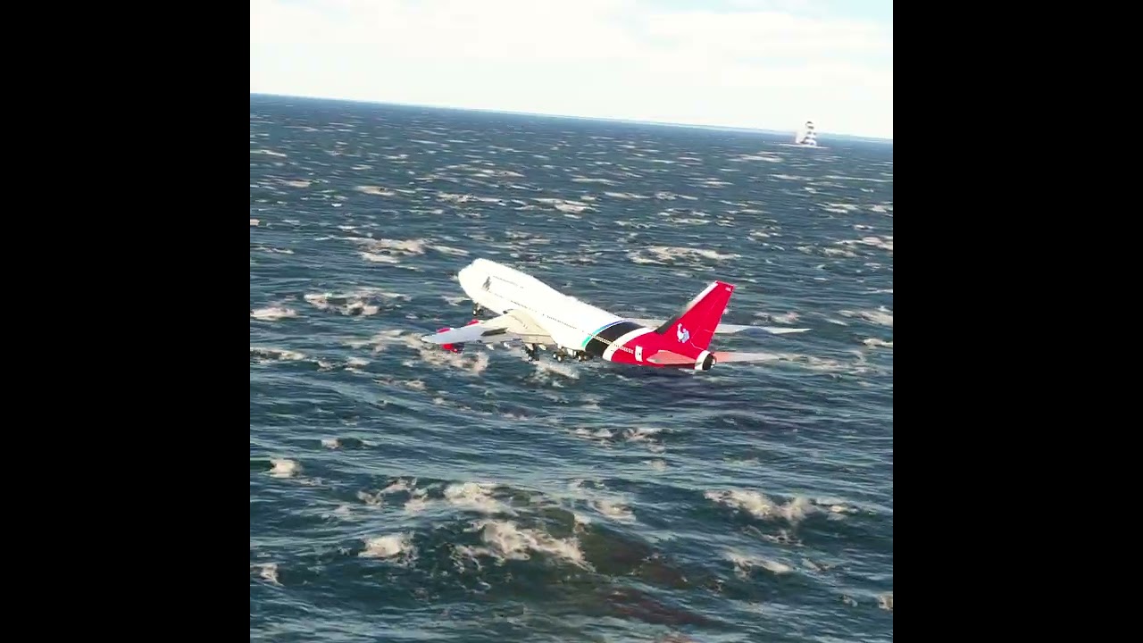 the pilot's actions endangered the plane's passengers EP310