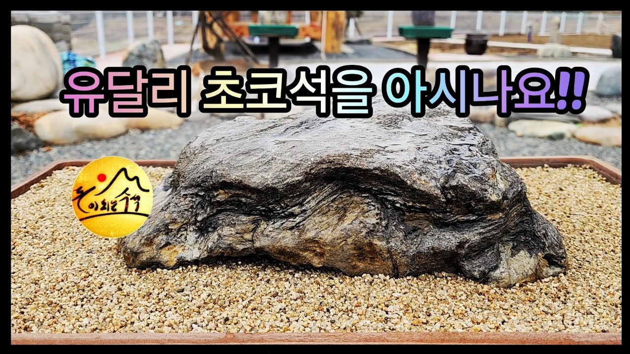 유달리 초코석을 아시나요!!