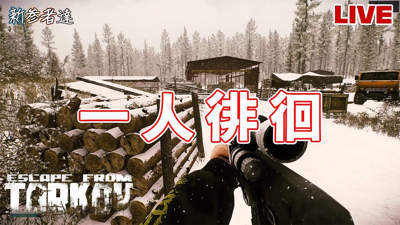 【EFT】一人で少しだけ森を彷徨う【新参者達】