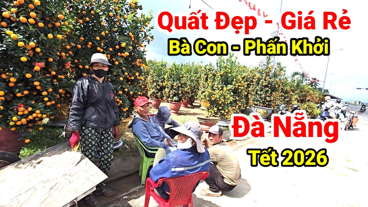 Choáng Ngợp Chợ Quất Tết Lớn Nhất Đà Nẵng | Giá Quất Rẻ Bất Ngờ Xuân 2026
