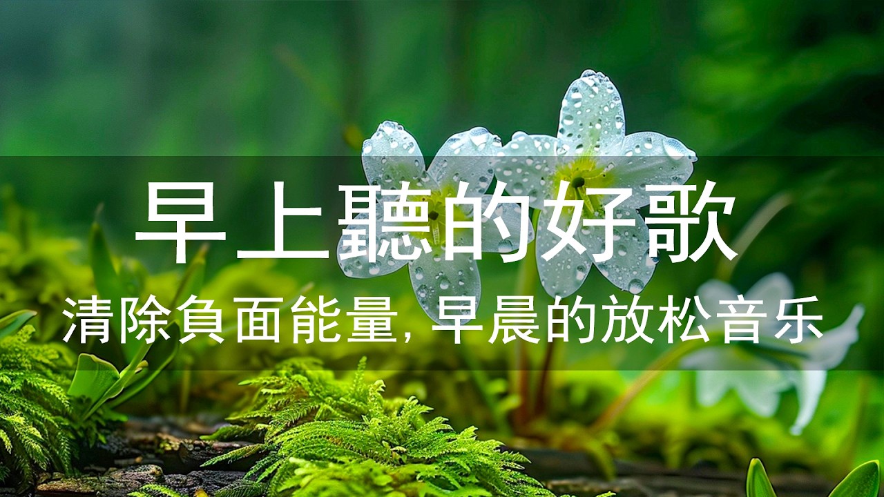 Умиротворяющая фортепианная музыка, которая дарит вам покой с каждым прослушиванием.