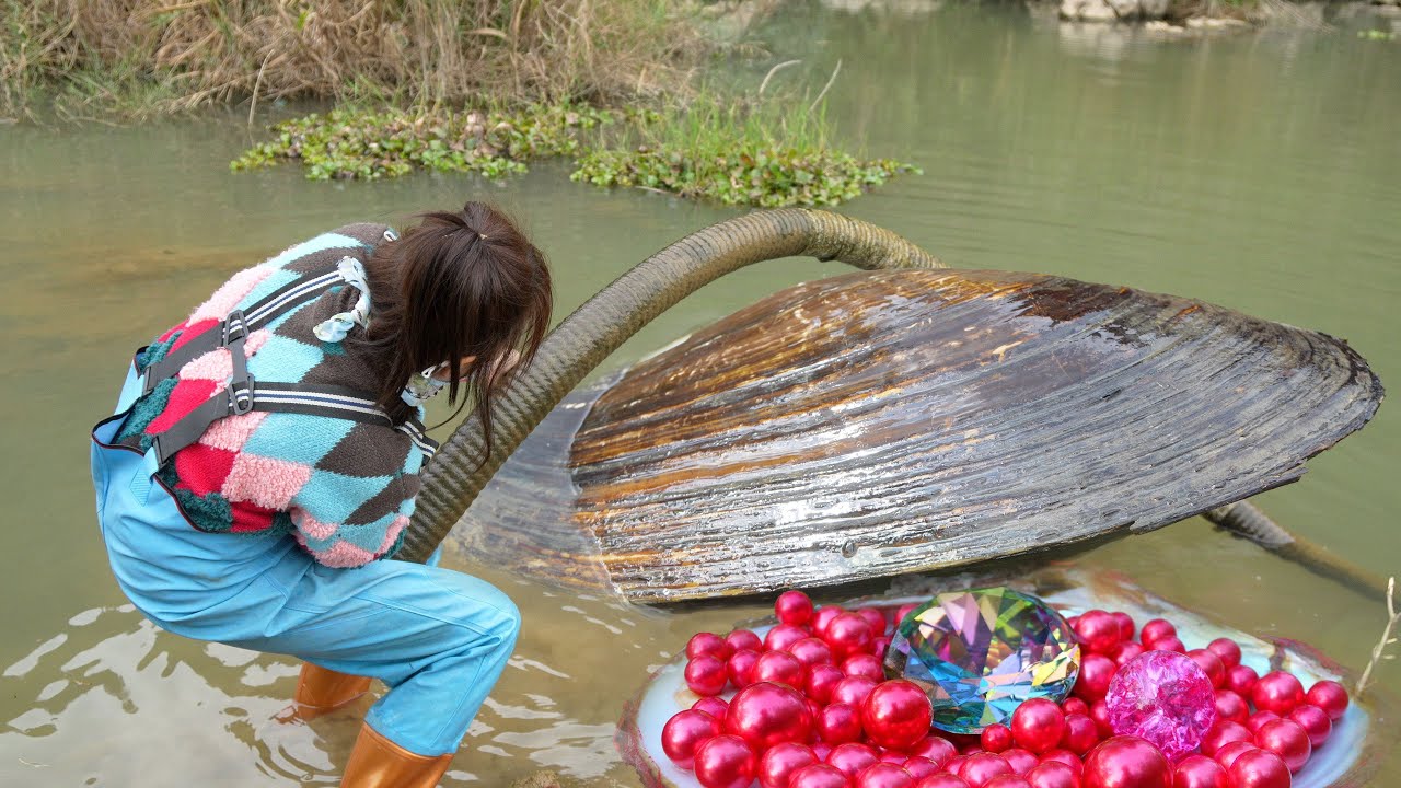 😲🔥 Beneath the Surface: The Girl Who Tamed a River Clam and Unleashed a Pearl Typhoon!