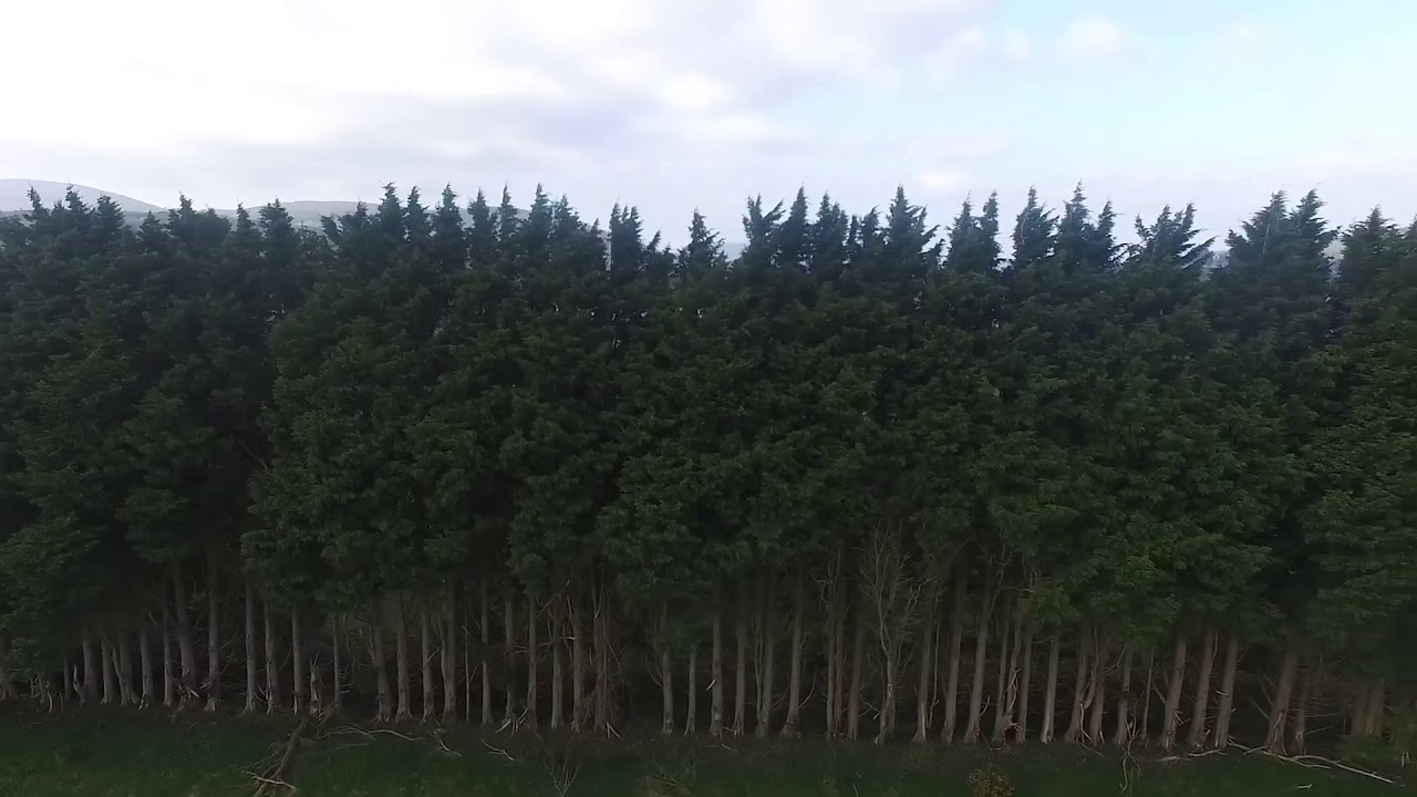 East Clare Gaa Pitches (Edited)