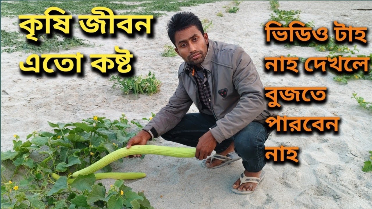 কৃষি জীবন এতো কষ্ট ভিডিও টাহ নাহ দেখলে বুজবেন নাহ || Farmar Village Life || Duck Farming Poultry || 