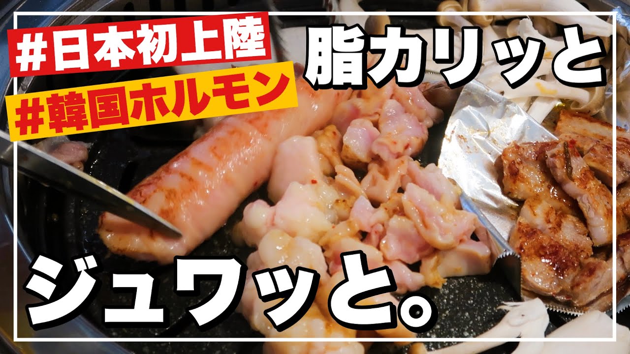 新大久保‼️日本初上陸の韓国ホルモン焼肉チェーン店が神の美味しさ😭❤️脂がとろけるホルモン食べてみて…‼️