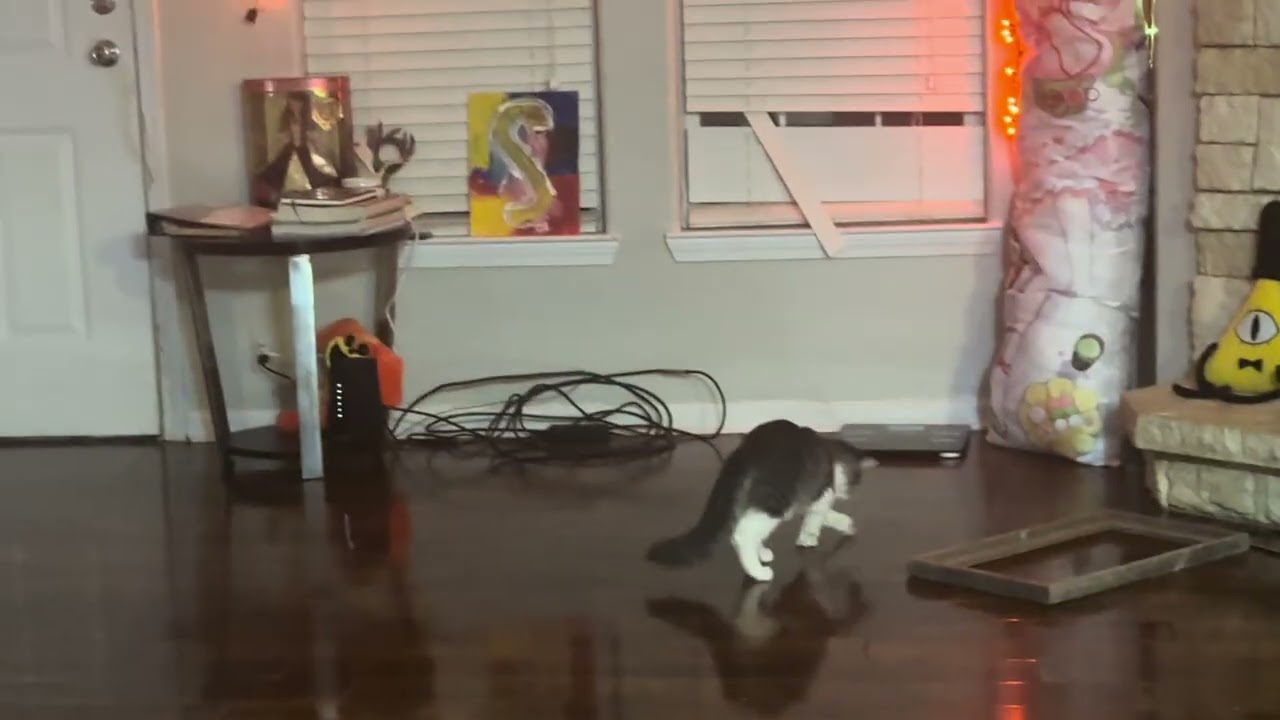 starscream is adjusting quite well