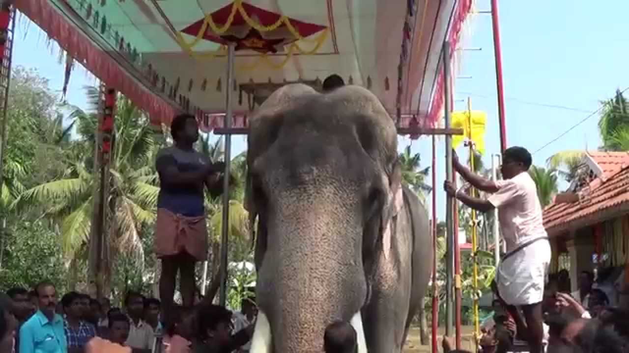 Thiruvambady Chandrasekharan Height