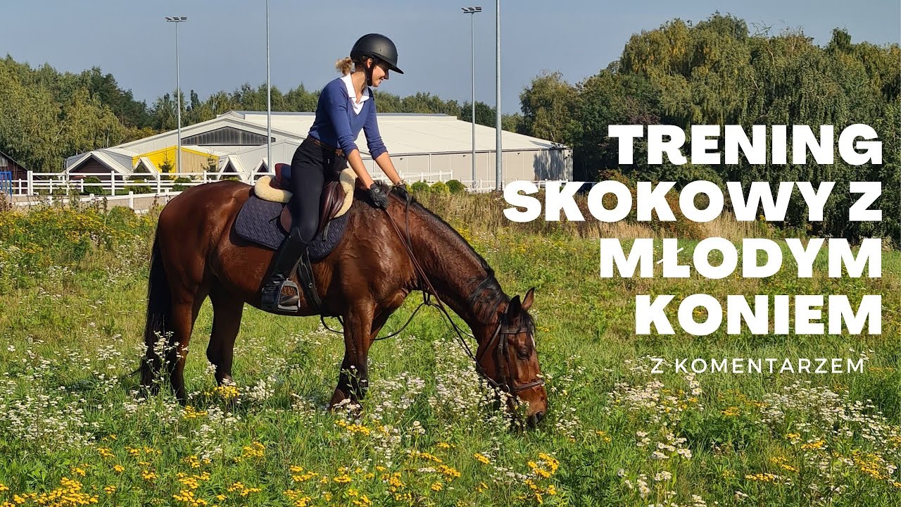 Trening skokowy z młodym koniem– z komentarzem/ #57