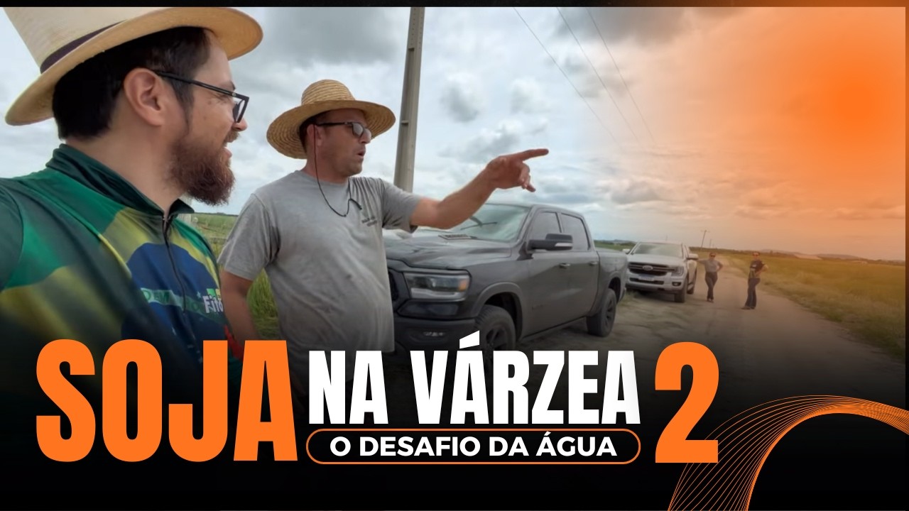 Soja na várzea