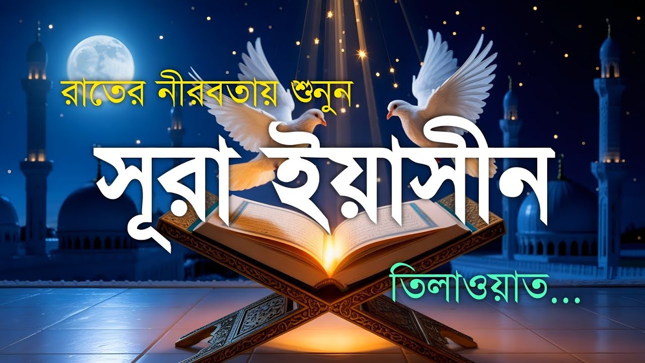 রাতের নীরবতায় হৃদয় ছুঁয়ে যাওয়া সূরা ইয়াসিন | Soothing Surah Yasin Tilawat | By Ismail Nouri