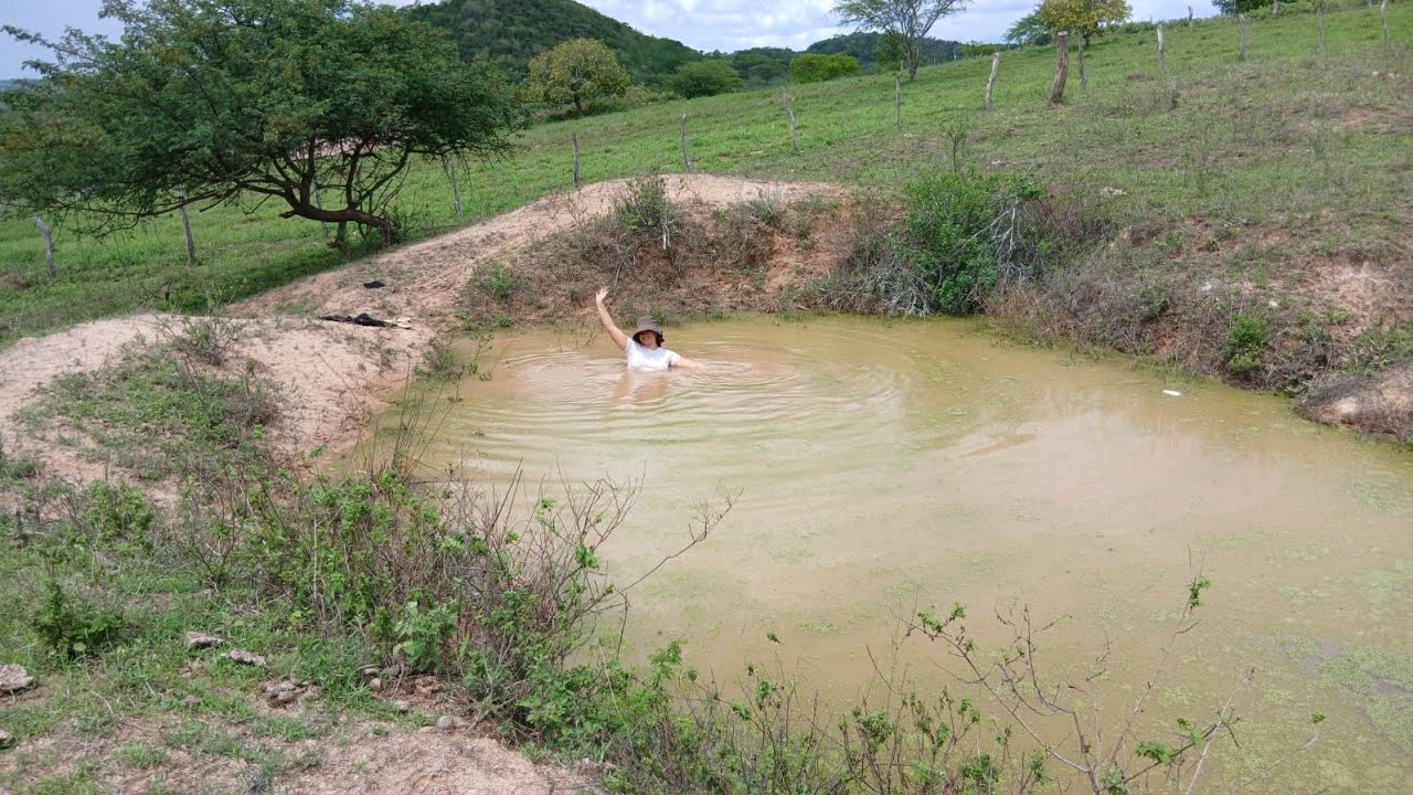 DIAS DE CUIDADO COM O NOSSO SÍTIO! O barreiro do sítio encheu com as chuvas + vida na roça 