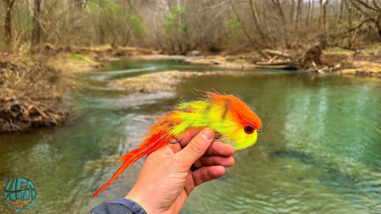 Fly Fishing for the MONSTER in this creek! (Musky Fishing West Virginia)