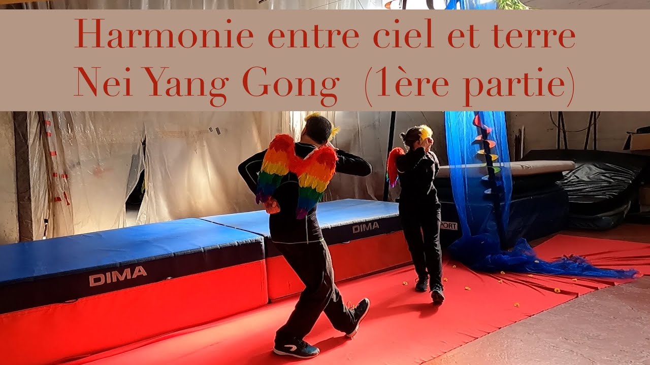 Nei Yang Gong (1ère partie)