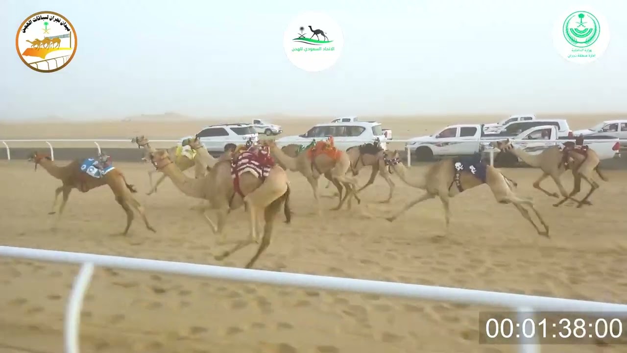 ١٠/ قعدان مفاريد / ٢٠٠٠م / مشكور /  مقبل محمد  العرجاني