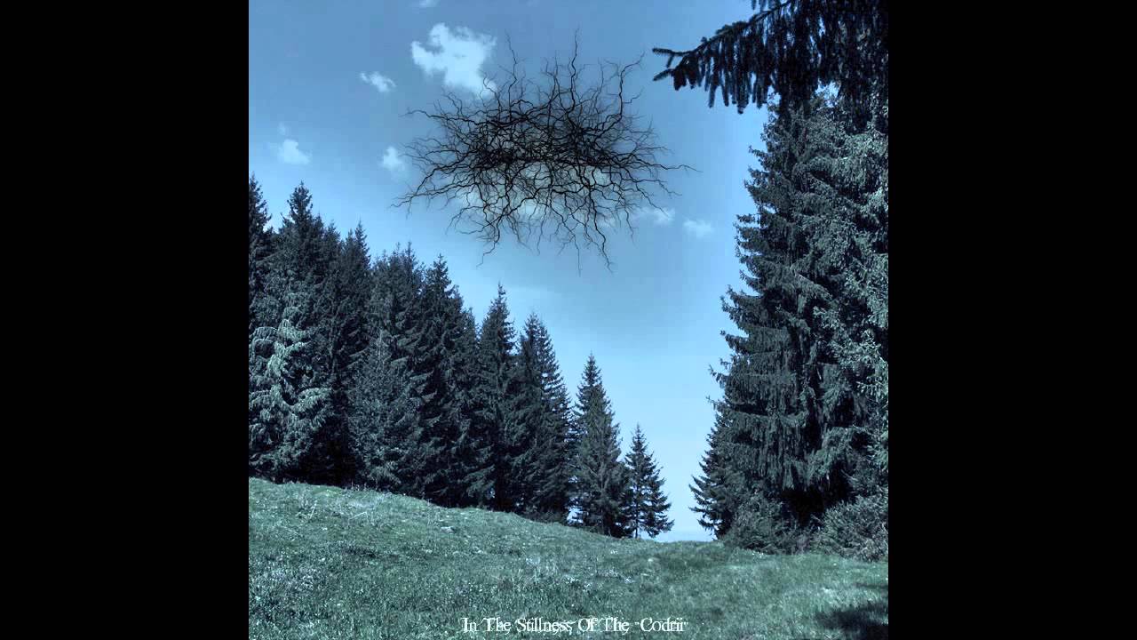 BASARABIAN HILLS - Decline Of An Old Tree