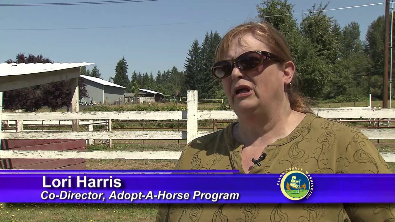Horse neglect rescue