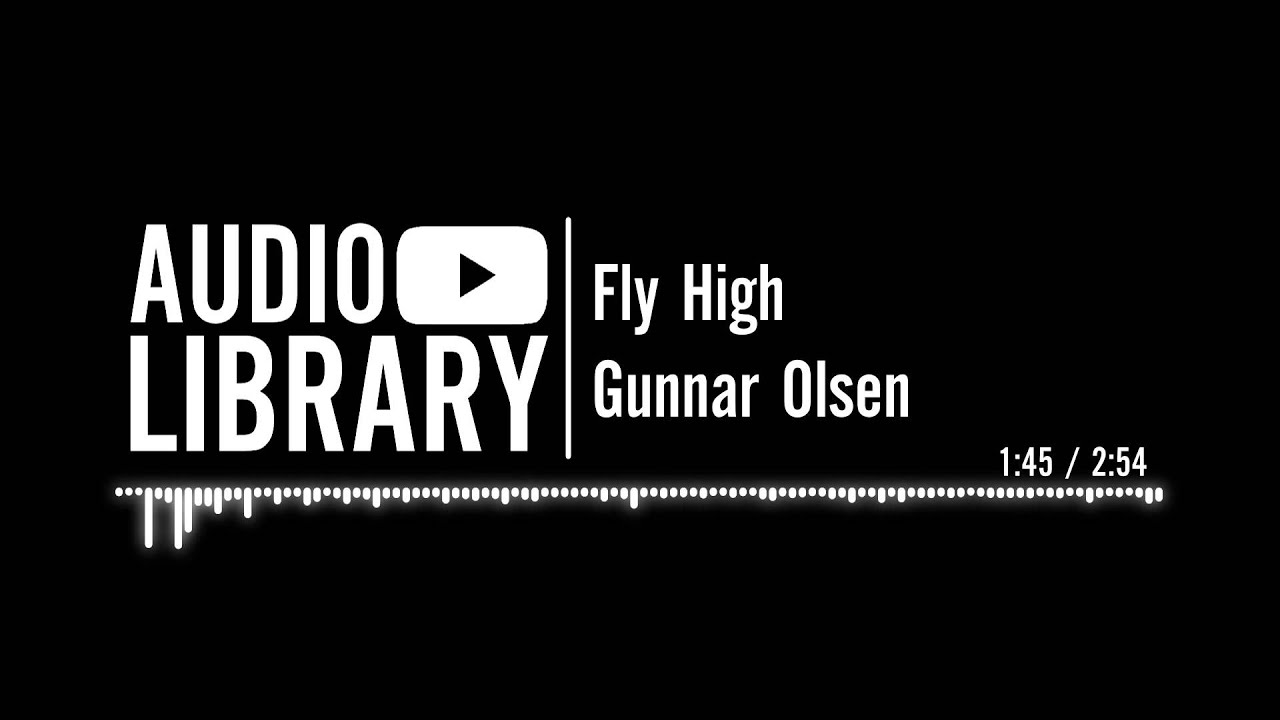Fly High - Gunnar Olsen