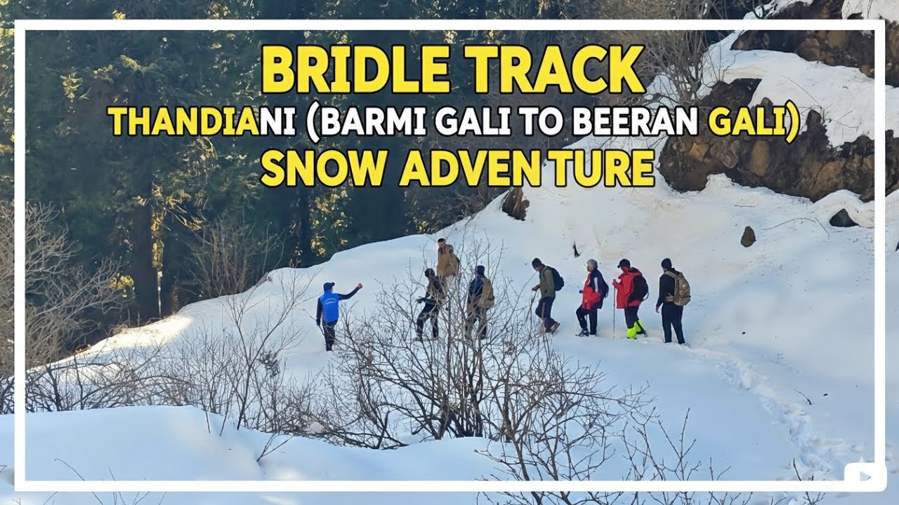 The Most Beautiful Winter Trek in Pakistan | Thandiani to Beeran Gali