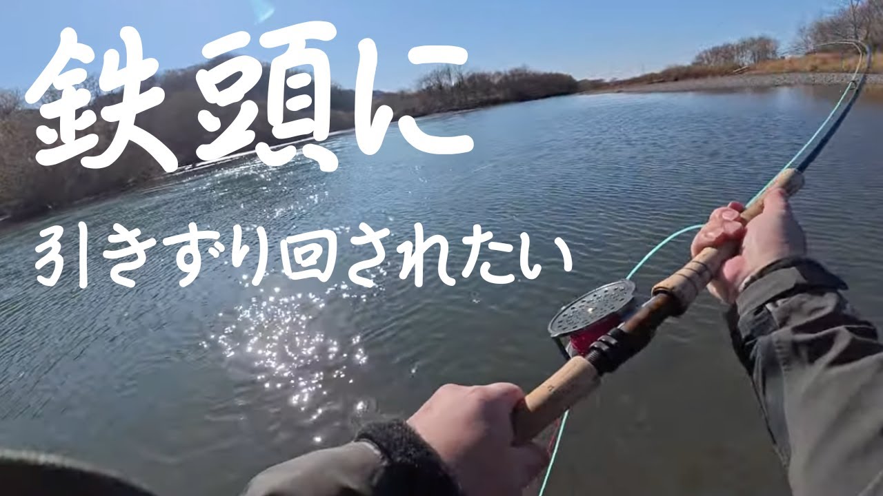誰かがスチールヘッド釣ったと噂に聞いたもんで、駆け付けました（笑