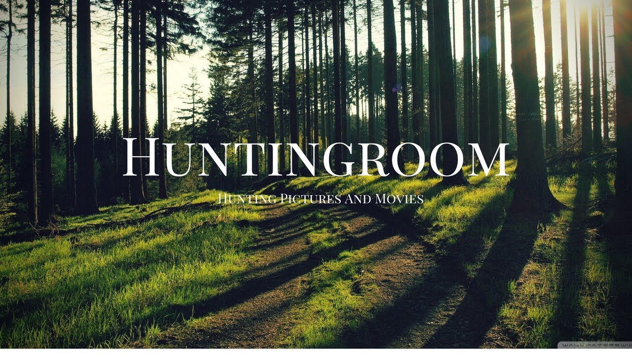 DISCOVER THE WORLD OF HUNTING - HUNTINGROOM - Jagdvideos und Filme (OFFICIAL TRAILER 2018)