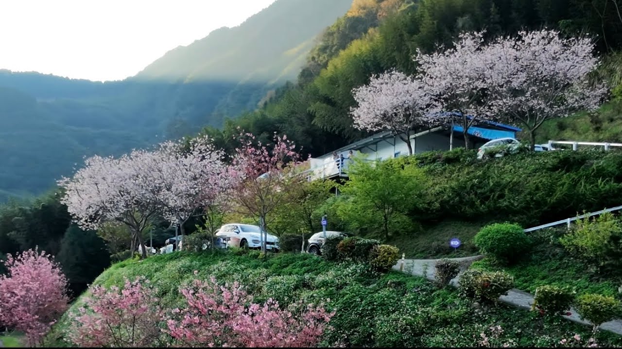 1150308新竹五峰鄉-移動城堡福心園營區