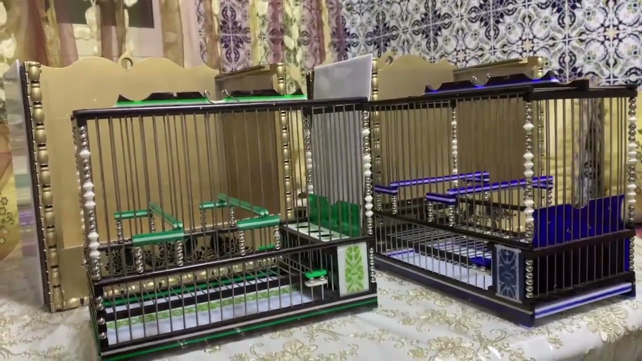 اقفاص ملكية لطائر ملكي طائر الحسون الوداني  او الهجين