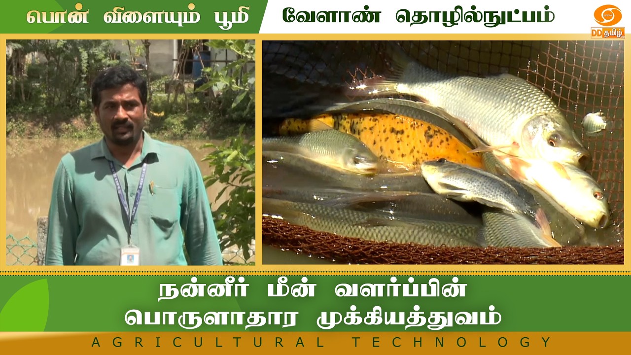 நன்னீர் மீன் வளர்ப்பின் பொருளாதார முக்கியத்துவம் | Agriculture Technology