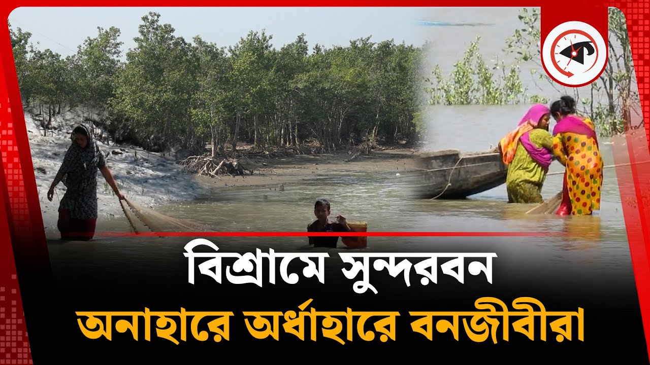 বিশ্রামে সুন্দরবন, অনাহারে অর্ধাহারে বনজীবীরা | Sundarban Fishermen | Kalbela