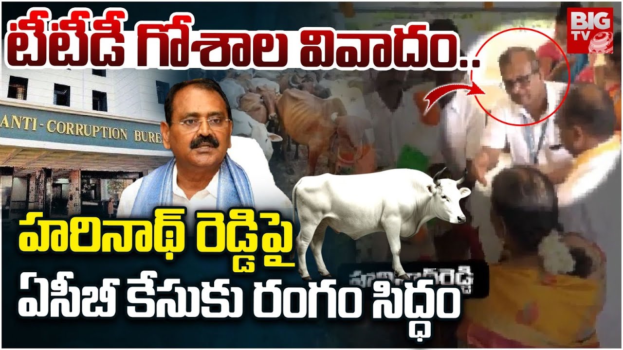 హరినాథ్ రెడ్డి పై ఏసీబీ కేసుకు రంగం సిద్ధం | TTD Goshala Issue | Harinath Reddy | BIGTV