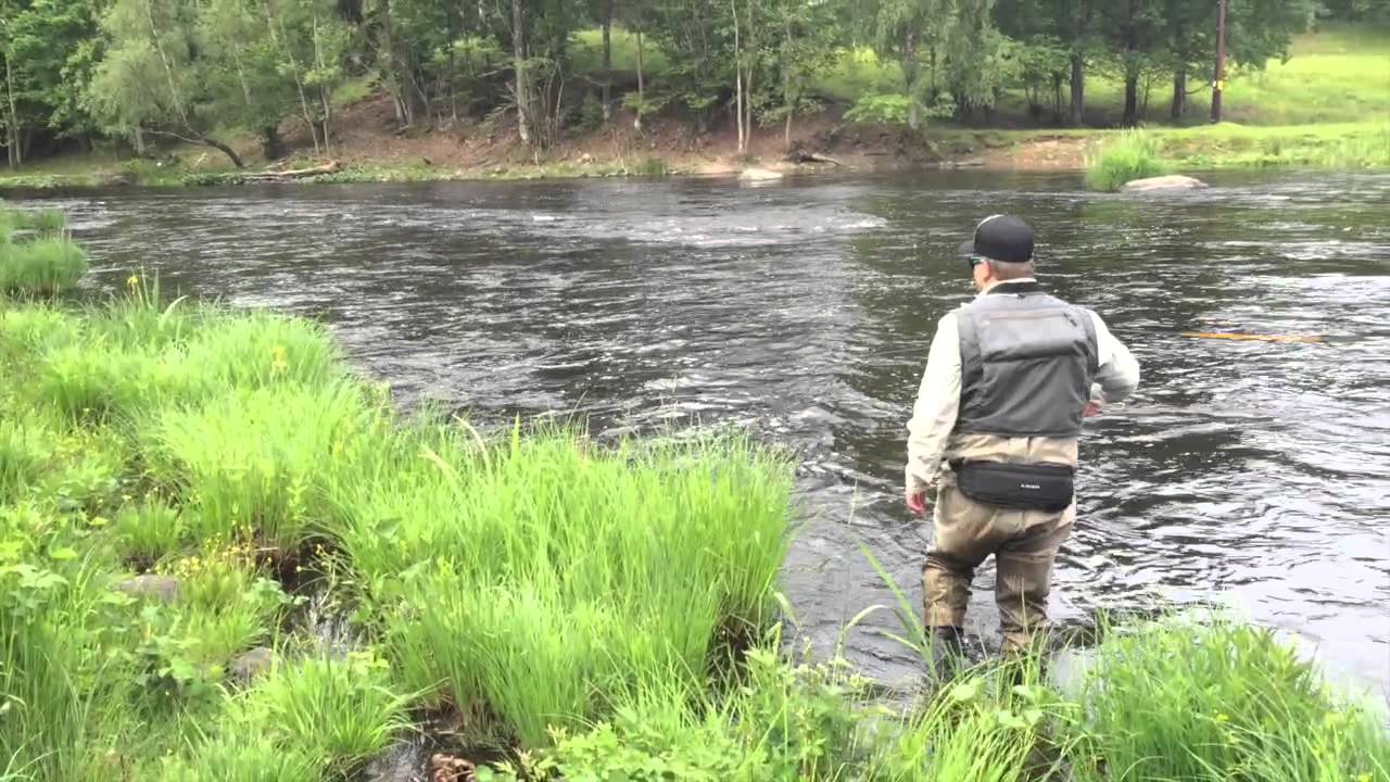 Flugfiske i Mörrumsån 2015 tung fight/ Flyfishing in Mörrum 2015 hard fight