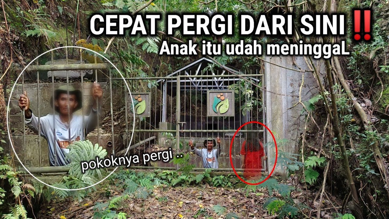PANIK GAK PERCAYA!! KETEMU ORANG INI NEKAT TINGGAL DI GUBUK REYOT TENGAH HUTAN