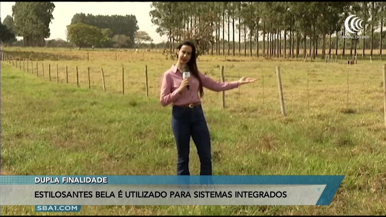 Estilosantes Bela é utilizado para sistemas integrados de dupla finalidade