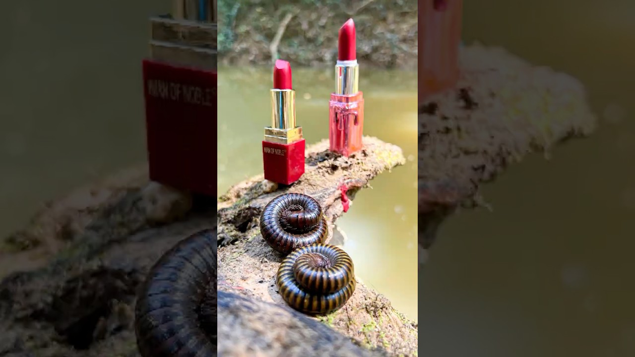 MAGIC Lipstick Hacks You Won't Believe Exist!