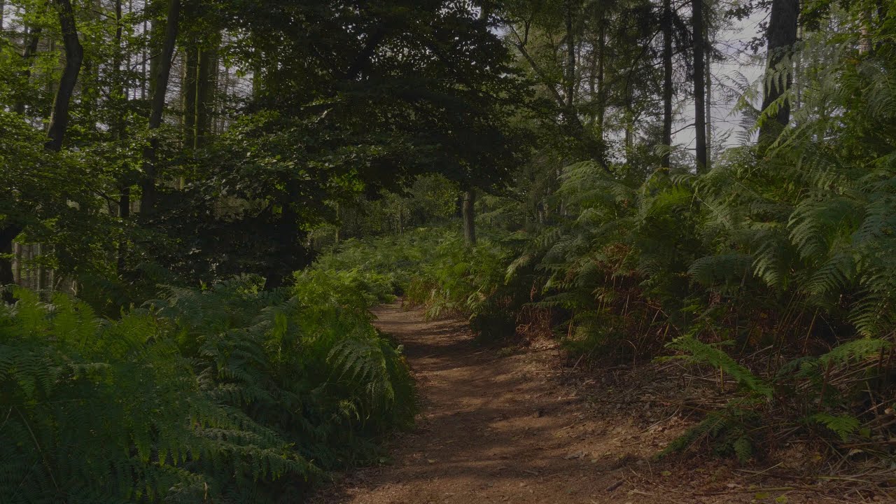 Unterwegs im Tecklenburger Land und Umgebung