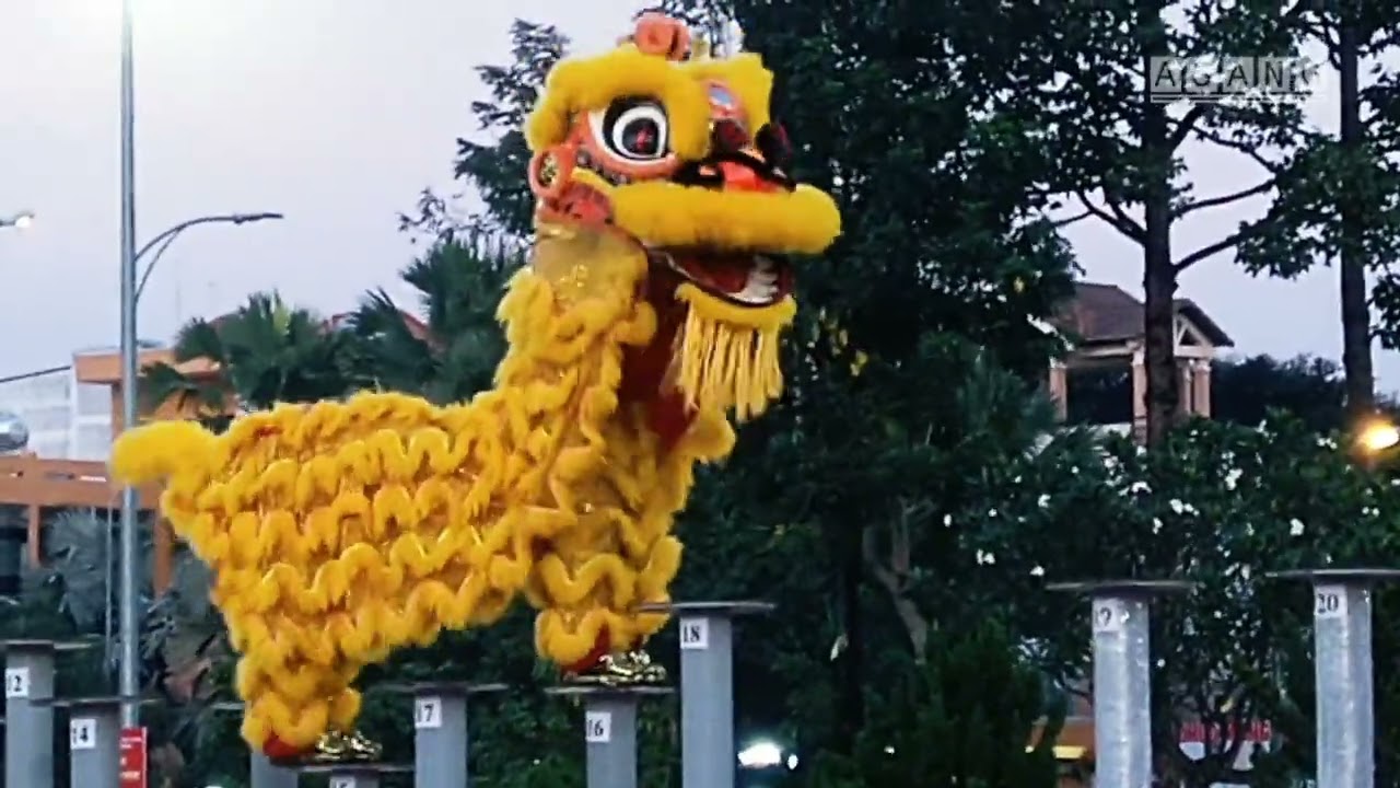MÚA LÂN Giải Lân Sư Rồng TP Dĩ An Bình Dương 2023, Lsr Đền Đỗ Công Tường