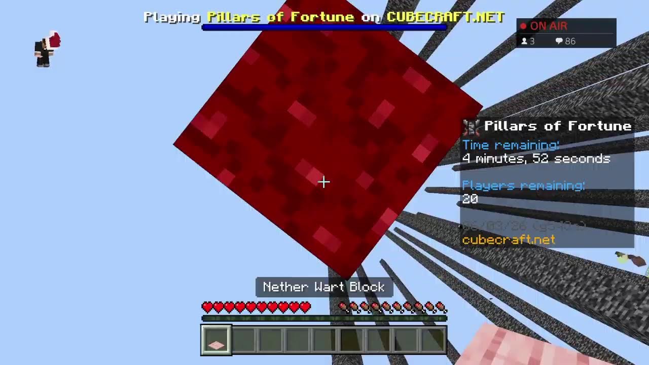 Minecraft with viewers