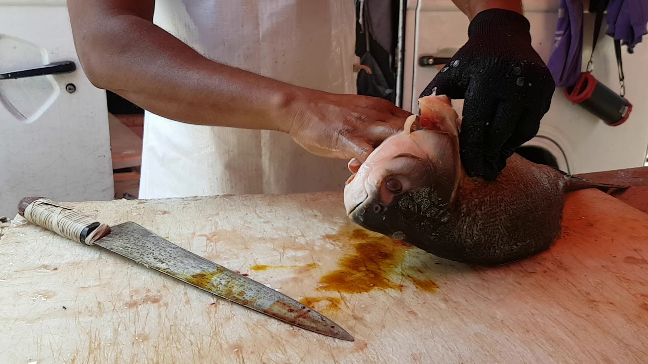 Limpando o peixe pacu espalmado....
