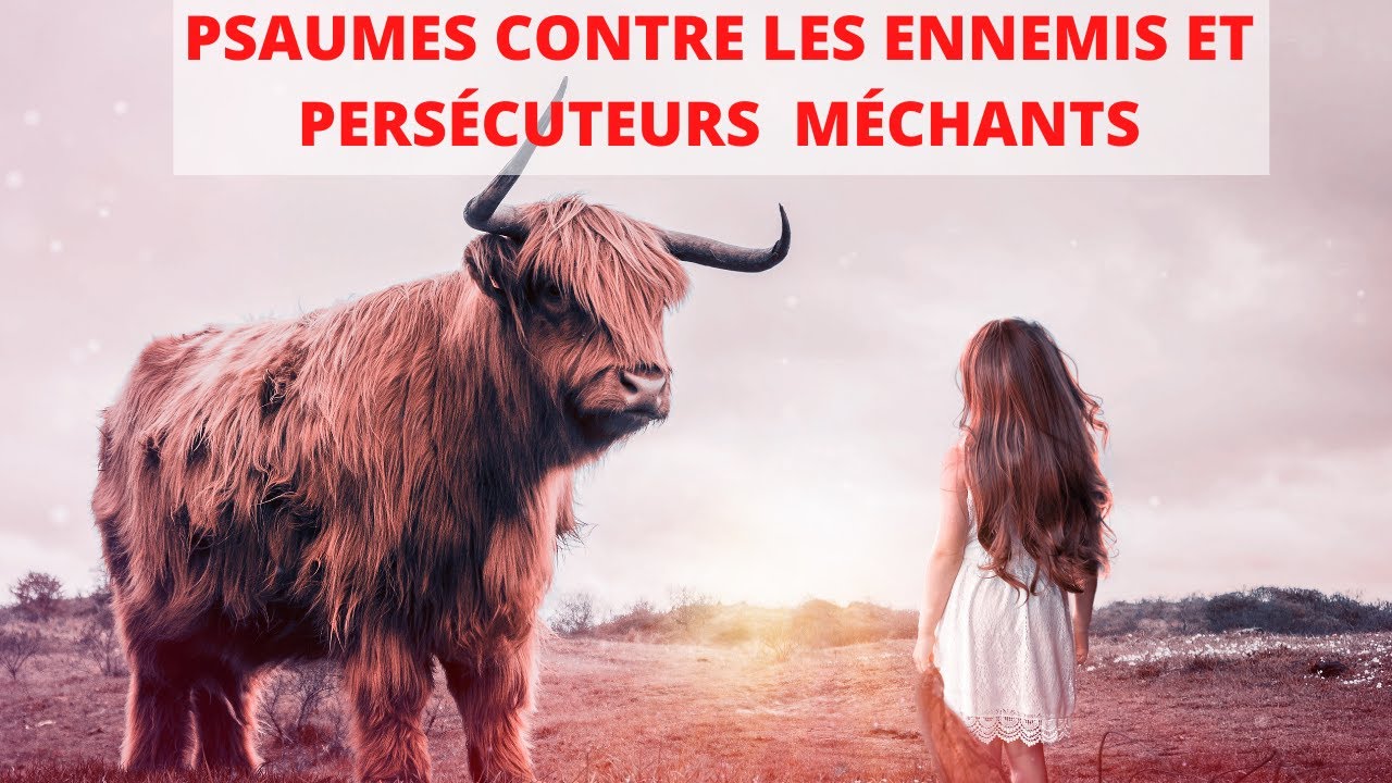 Prières Contre les Ennemis, Prières Contre Les Persécuteurs, Prières Contre Les Méchants, Psaumes