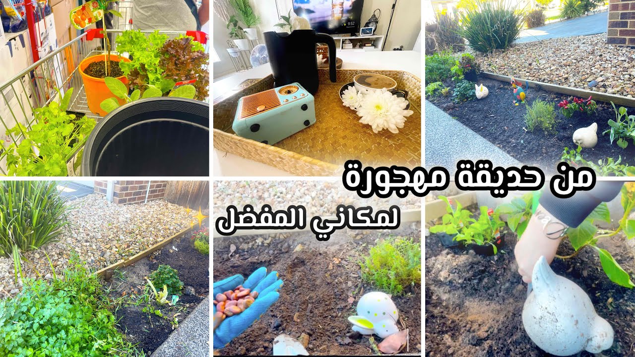 حولت حديقة المنزل المهجورة لمكاني المفضل بافكار بسيطه