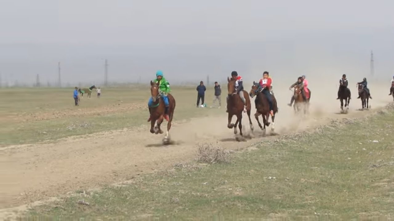 Тай чабыш Ст Ивановка 07.04.2023