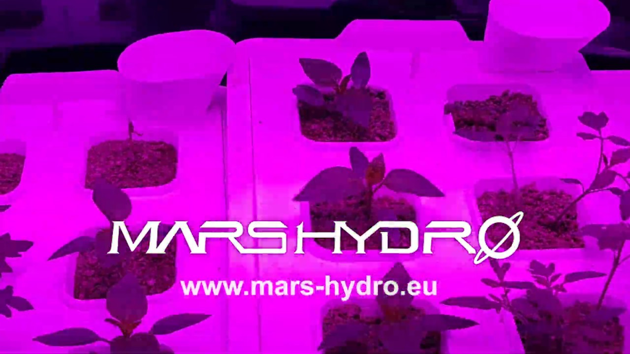 Mars Hydro SP 150 Grow Light