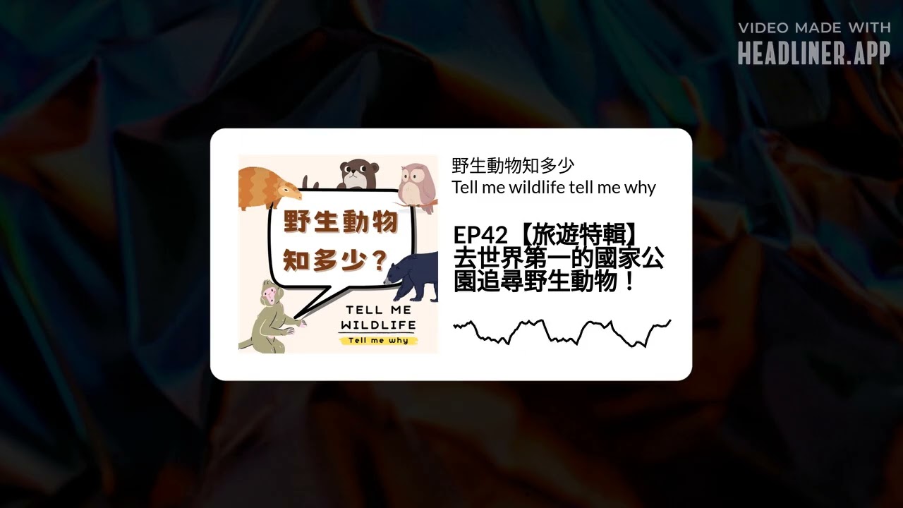 EP42【旅遊特輯】去世界第一的國家公園追尋野生動物！