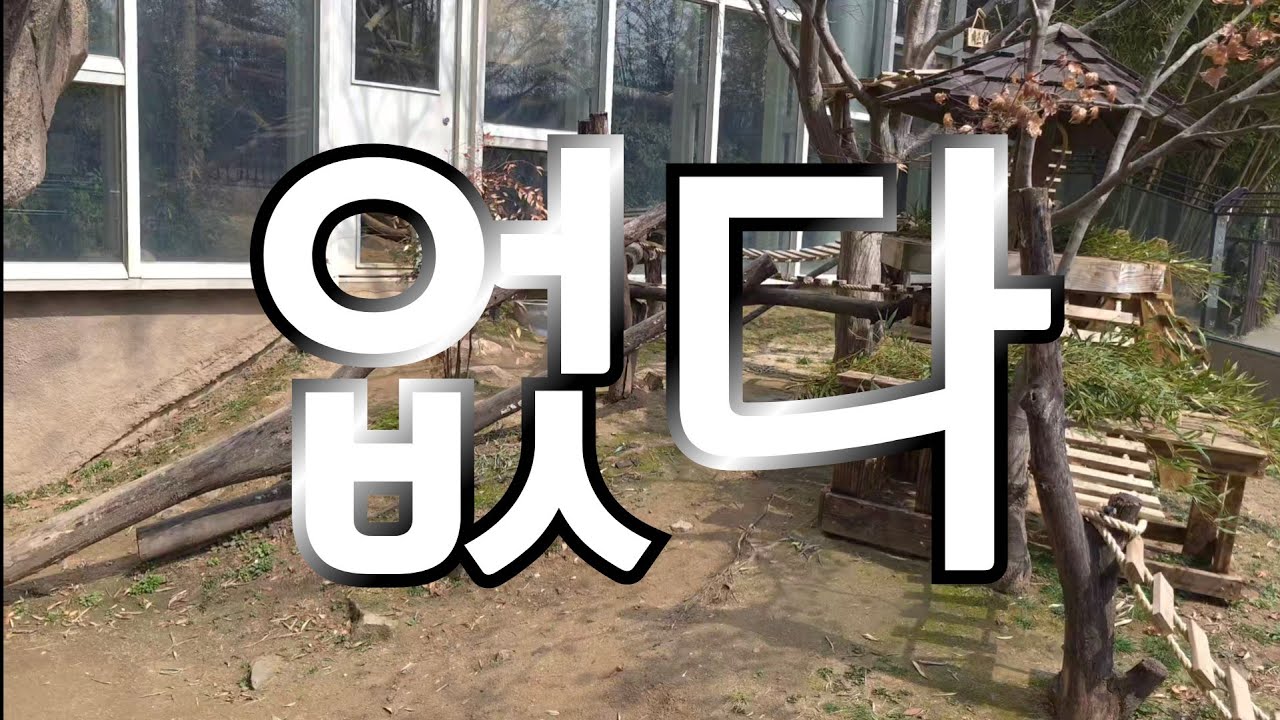 2026년 3월 24일 없네요. 왠지 판다월드  뭐 하나가 빠진 것 같아요. 꽃보다 바오가족 