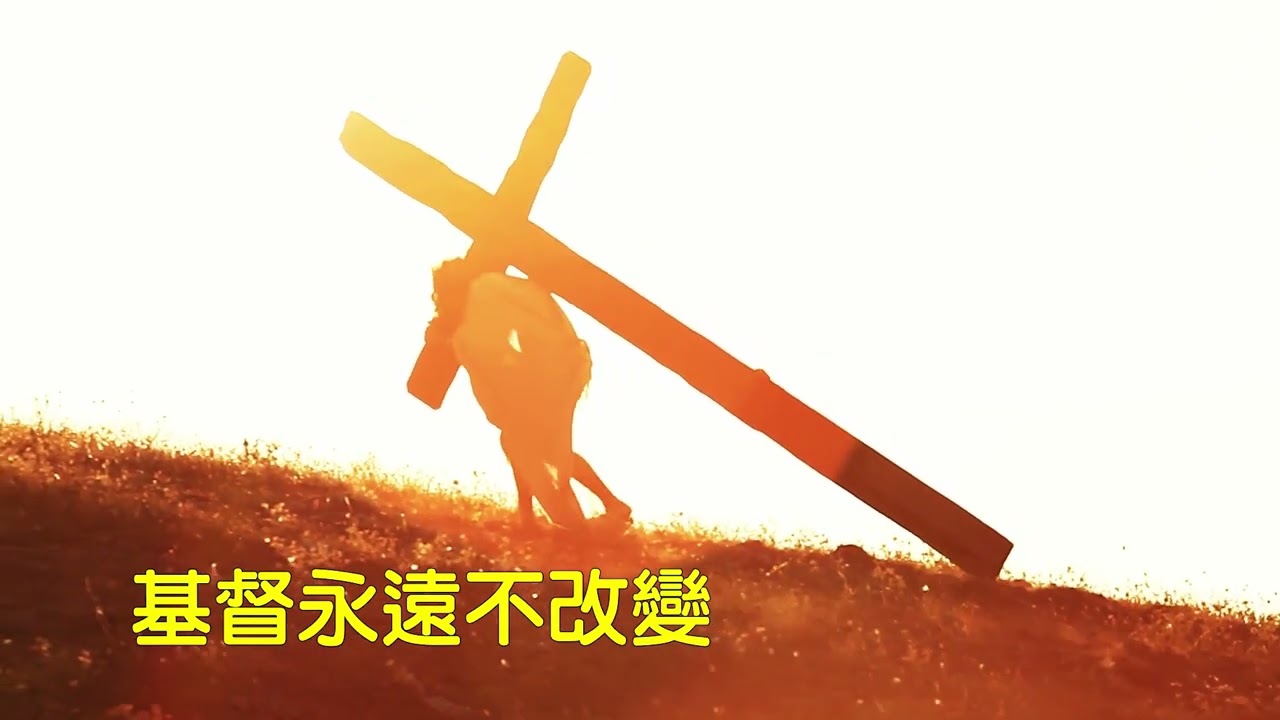 不再是我