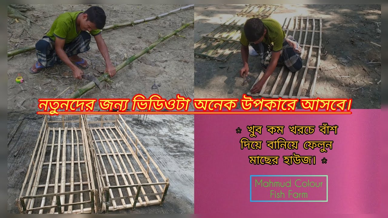 খুব কম খরচে বাঁশ দিয়ে বানিয়ে ফেলুন মাছের হাউজ।